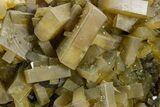 Golden Barite Crystals on Fluorite - Xiefang Mine, China #360528-1